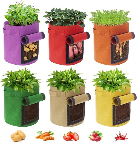 Pack gallon potato - 15, grow