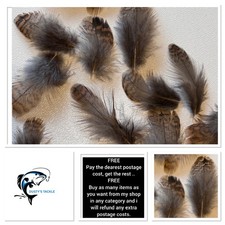 Woodcock Hackle Back Feathers