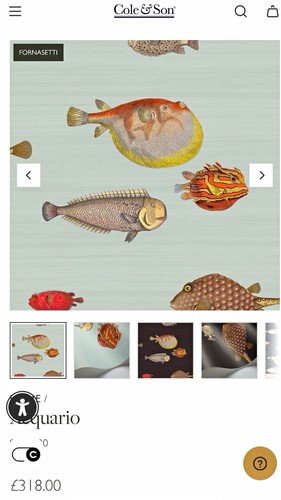 Cole son fornasetti - son, aquario
