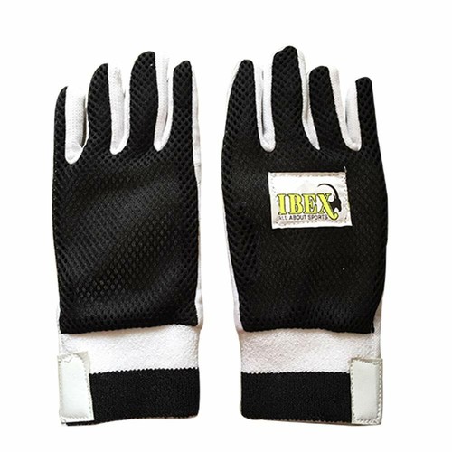 Cricket wicket keeping - keeping, inner