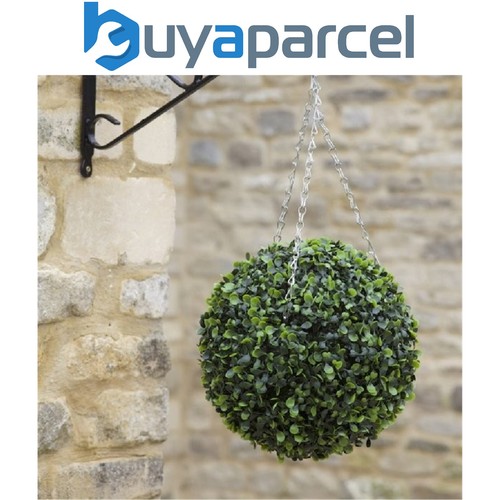 Smart garden boxwood - smart,