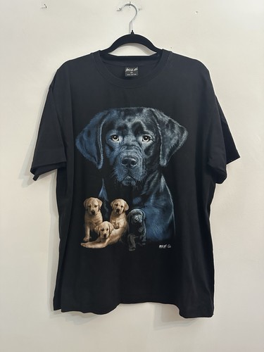 Wild black labrador - labrador, puppy