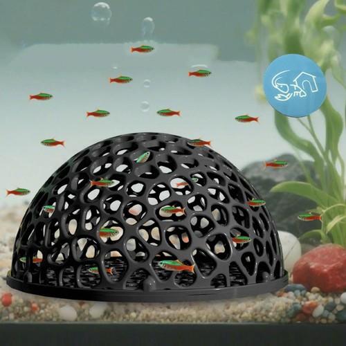 Shrimp breeding cave - breeding,