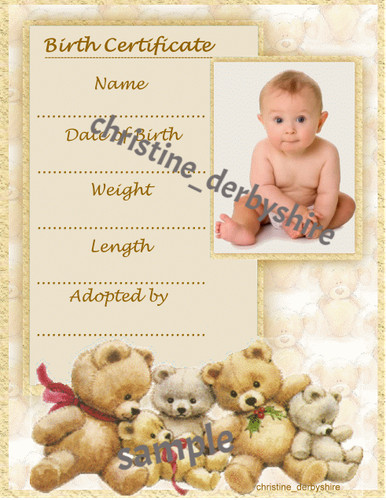 Teddy bear birth - bear,