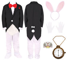 ALICE IN WONDERLAND COSTUME