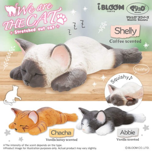 Ibloom squishy are the cat - squishy, we