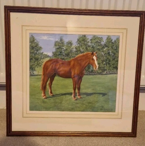 Louise mizen race - louise, pony