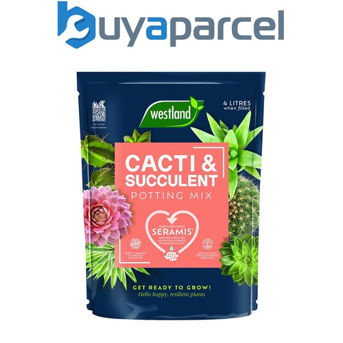 Westland cacti cactus - cacti,