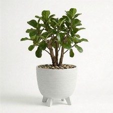 White Plant Pots with Legs