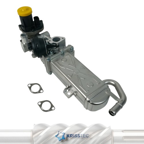 Egr cooler gas valve - egr,