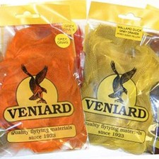 Mallard Duck Drake Grey Flank