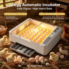 36 Eggs Fully Automatic
