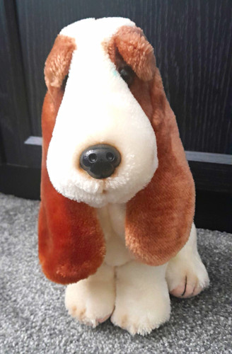 Hush puppies dog - hush,