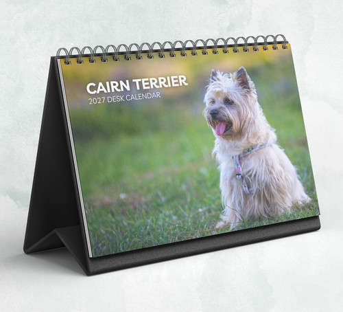 Cairn terrier desk calendar - cairn,