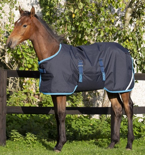 Bnwt horseware amigo foal - bnwt,