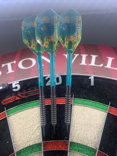 26g wayne mardle black darts - black,