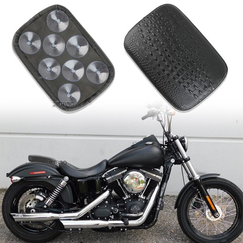 Alligator pillion rear - alligator,