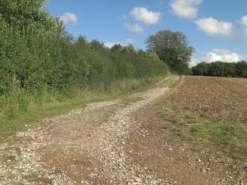 Photo footpath lane - photo,