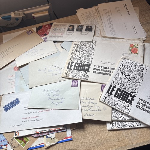 Job lot stamps rose - job,