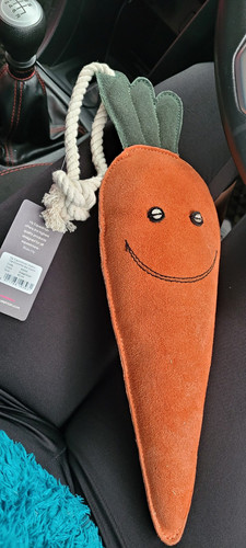Equestrian orange carrot - equestrian,