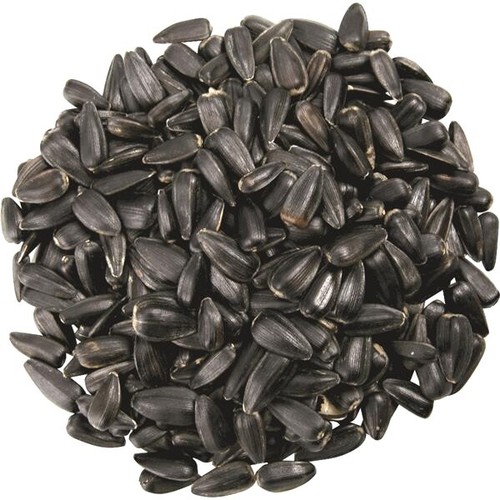 Black sunflower seeds - seeds, for