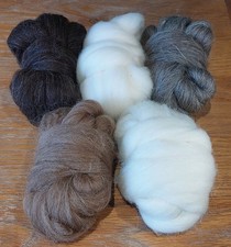 Wool Roving Starter Pack