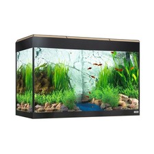 Fluval Roma 125 BT LED
