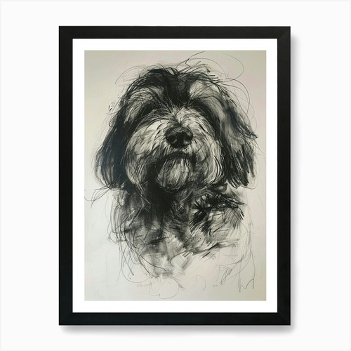 Polish lowland sheepdog - polish,
