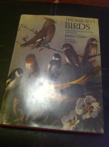 Thorburn birds james - thorburn's,
