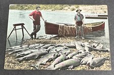 Postcard days catch - postcard:, catch"