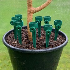 Plant watering drip - watering,
