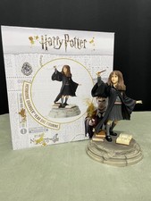Harry Potter Hermione Granger