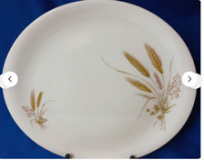 Vintage Oval Dinner Plates 25cm x 2 (3 sets avail) Bristol Harvest 1960  VG Cond