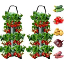 Plastic Tomato Strawberry