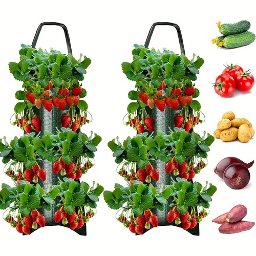Plastic tomato strawberry - plastic,