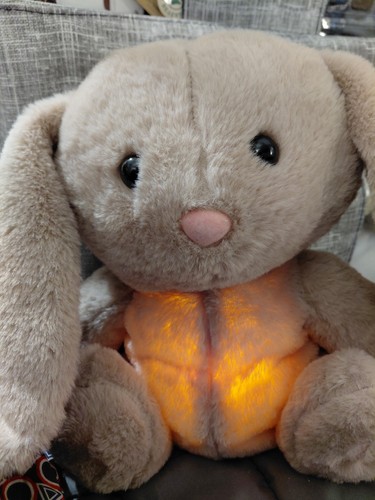 Breathing teddy bunny soothing - breathing, bunny,soothing