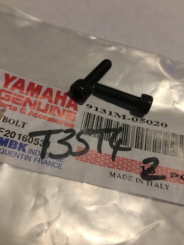Yamaha 9131m 05020 - x2, screw