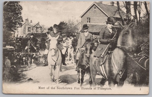 Plumpton sussex meet - meet, of