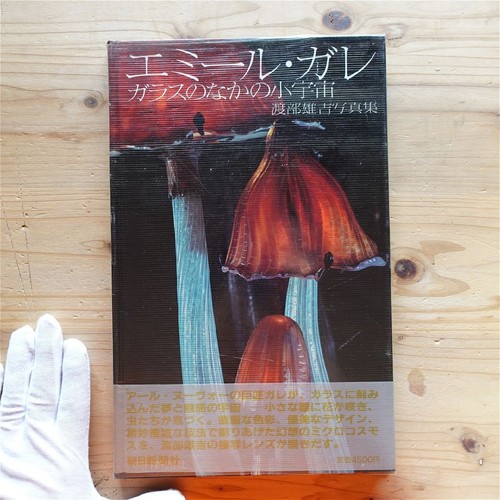 Yukichi watanabe photo - yukichi,
