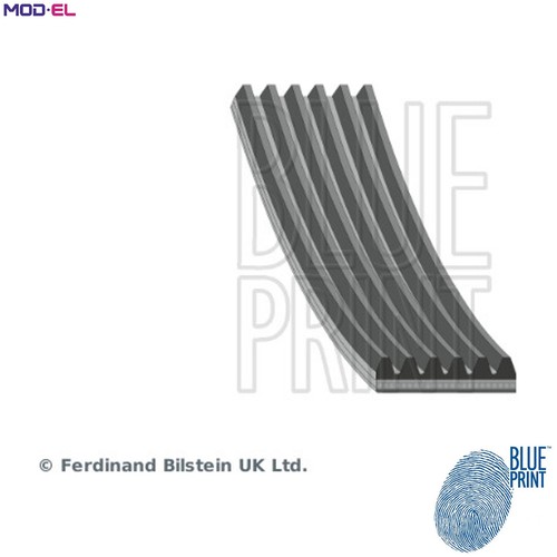 Vribbed belt ad06r975 for - vribbed,