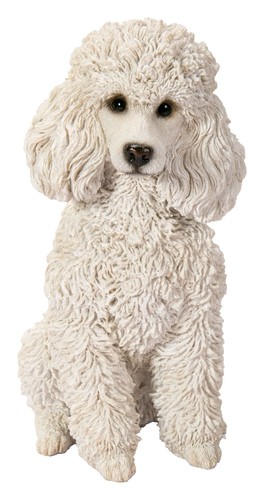 Vivid arts poodle - vivid,