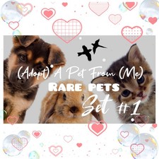 🌸 ADOPT (All Stuff) Today