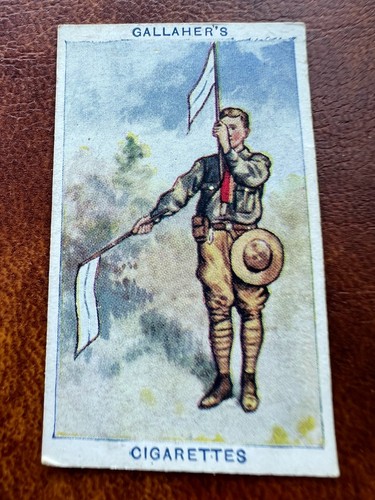 Gallaher cigarette card - -, boy