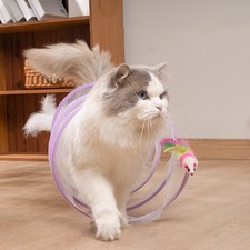 Stretchable Cat Coil Tunnel