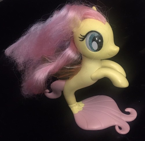 Little pony sea - pony,