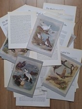 Vintage Junk Journal Ephemera Paper Crafts Scrapbook Book Pages Supplies Kit