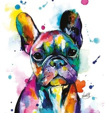 French bulldog greeting - bulldog,