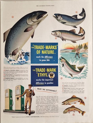 1950 print ethyl gasoline - print, ad
