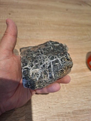 Natural fossilised wood - fossilised, /