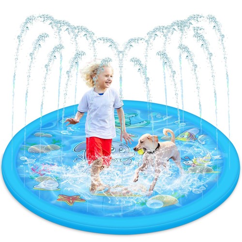 Dog pool small - paddling,